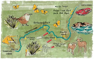 Illustration of a Grand Canyon map