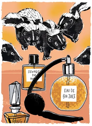 Skunks and perfume for Simple Things magazine