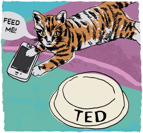 Cat Call for Simple Things Magazine