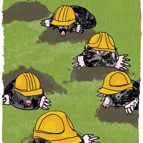 Kavel Rafferty International retro lifestyle illustrator. UK