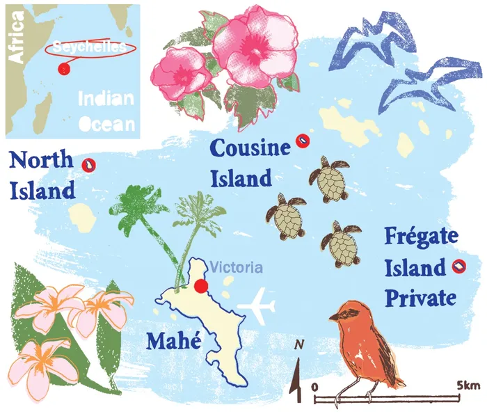 Seychelles Map Mixed media
