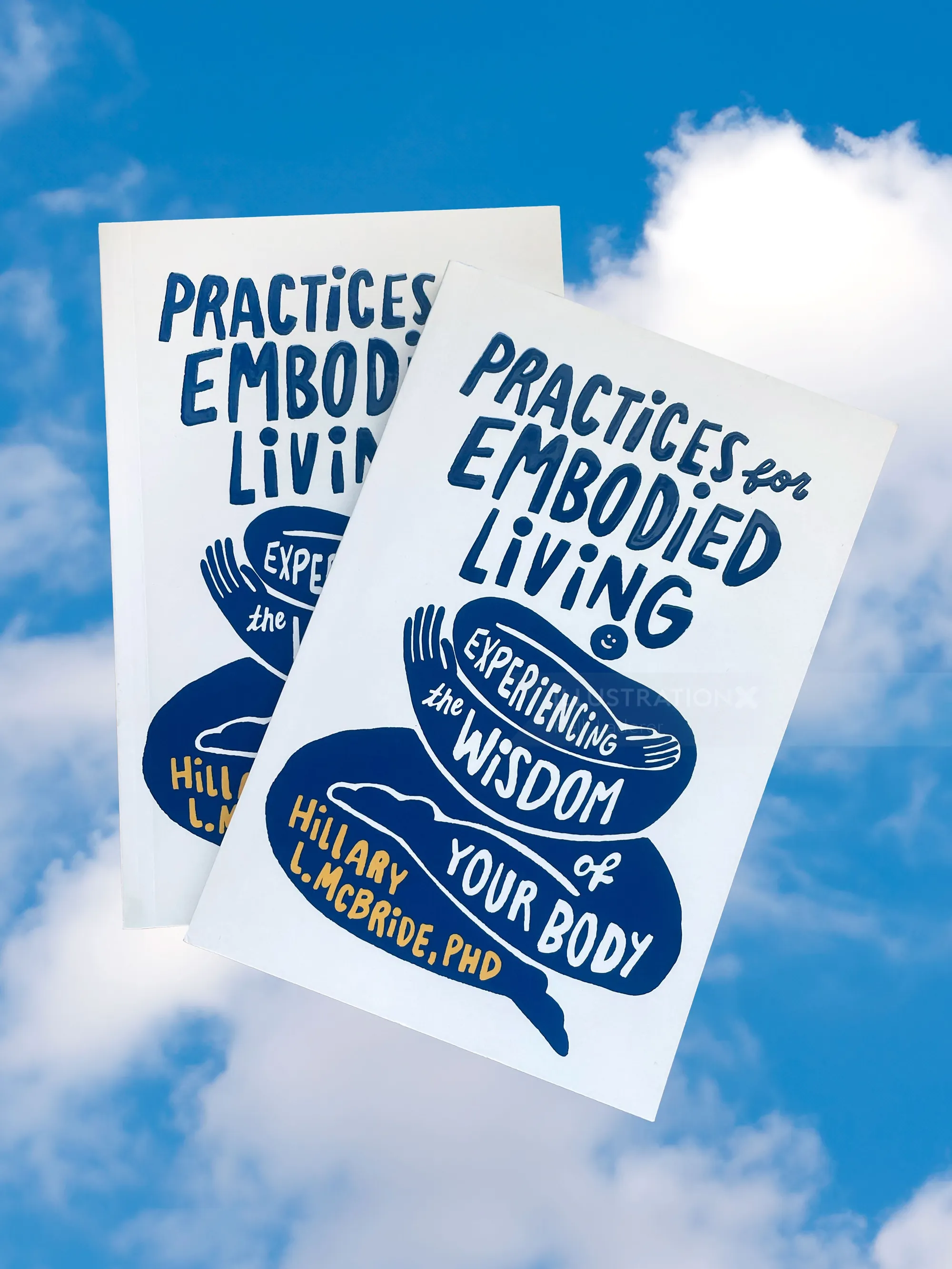 Book cover for Practices for Embodied Living by Hillary McBride against blue sky