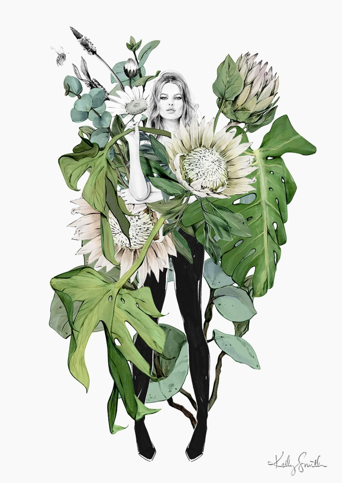 Ilustração botânica por Kelly Smith