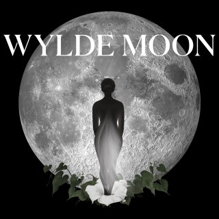 Wylde Moon 网站的插图