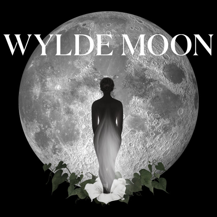 Illustration for Wylde Moon' website