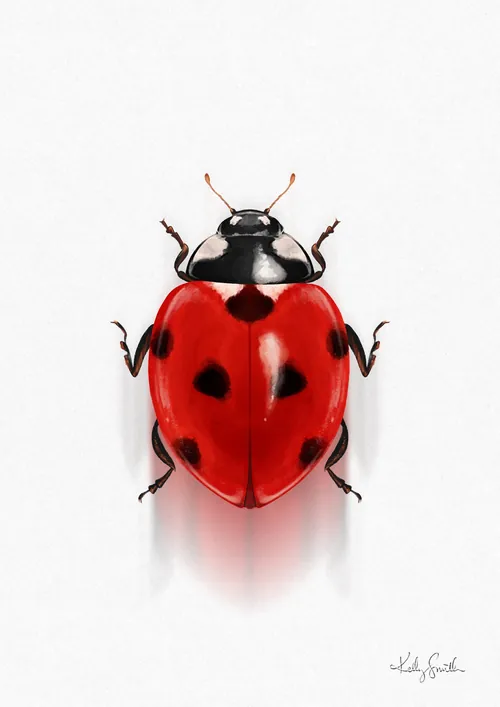 Red ladybug with black spots on white surface by Kelly Smith