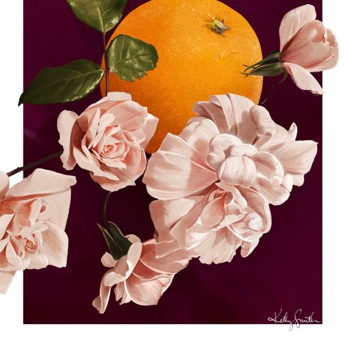 Kelly Smith Botanical Illustrator from Australia
