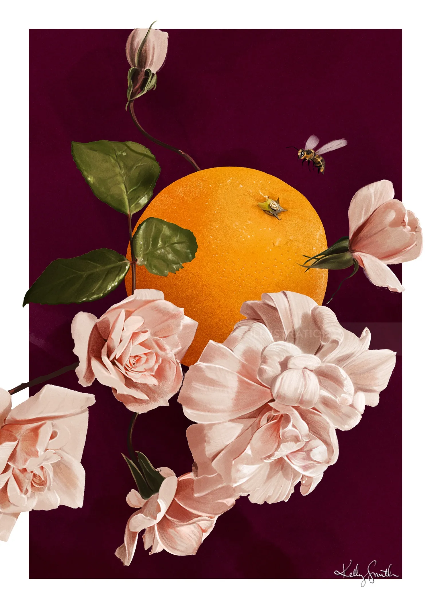 Orange and pink roses by Kelly Smith on a dark burgundy background