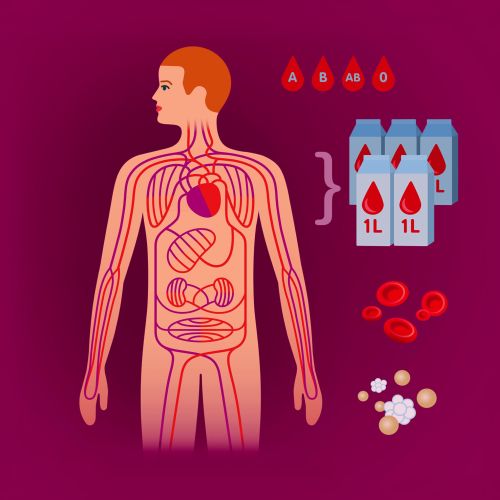 Klaus Meinhardt Medical Illustrator from Germany