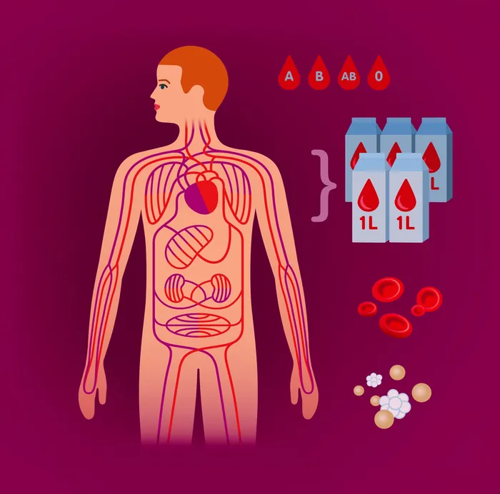 Human body blood circulation with blood types and donation units by Klaus Meinhardt
