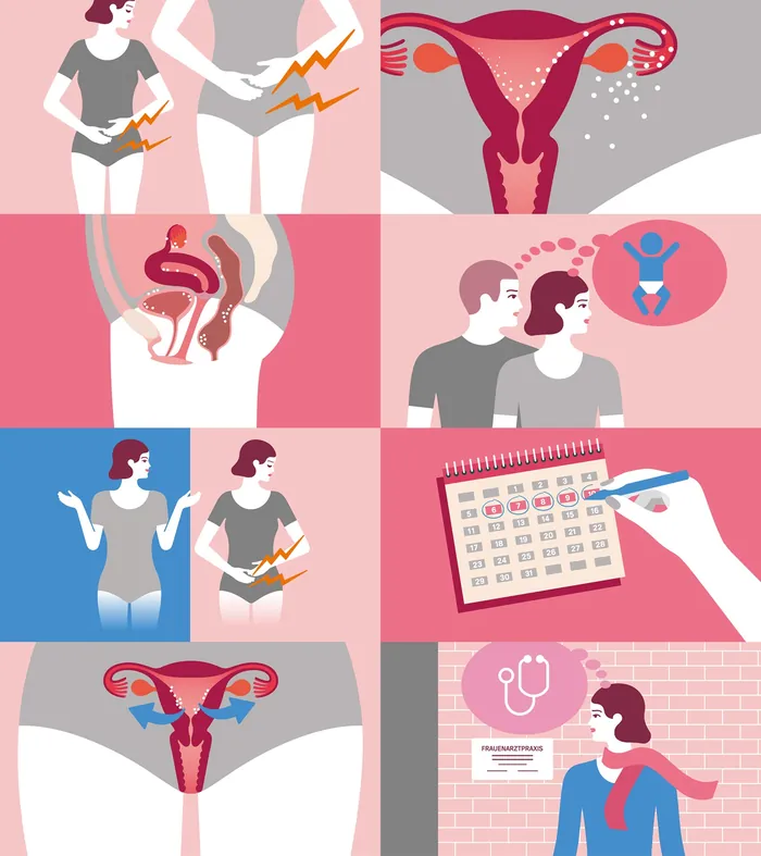 Illustrations depicting women's reproductive system and menstrual health concepts.