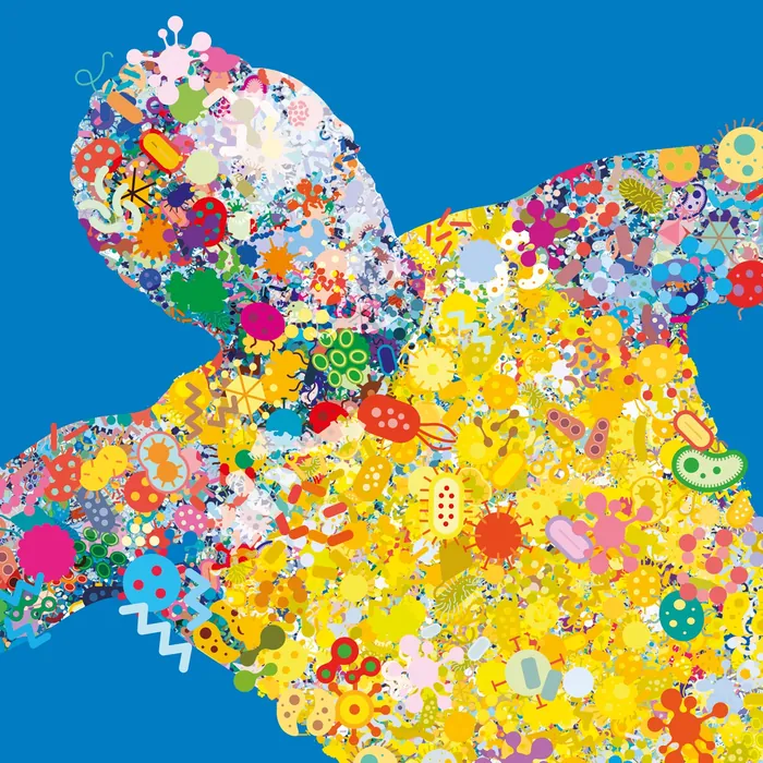 Human shape composed of colorful microscopic organisms and bacteria illustrations