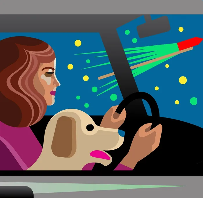 Woman driving car with dog and colorful fireworks outside, illustration by Klaus Meinhardt