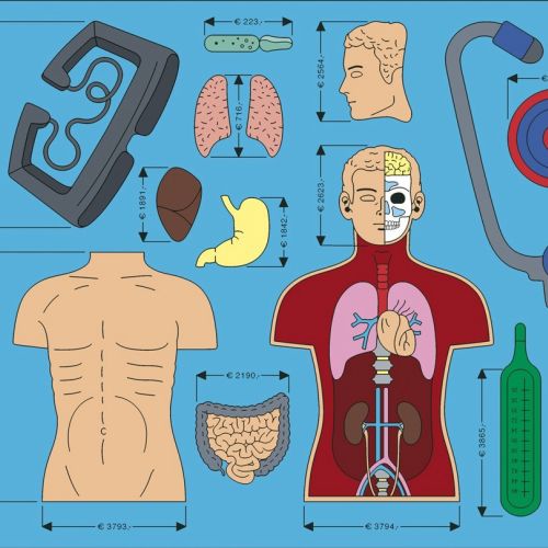Human parts illustration by Klaus Meinhardt
