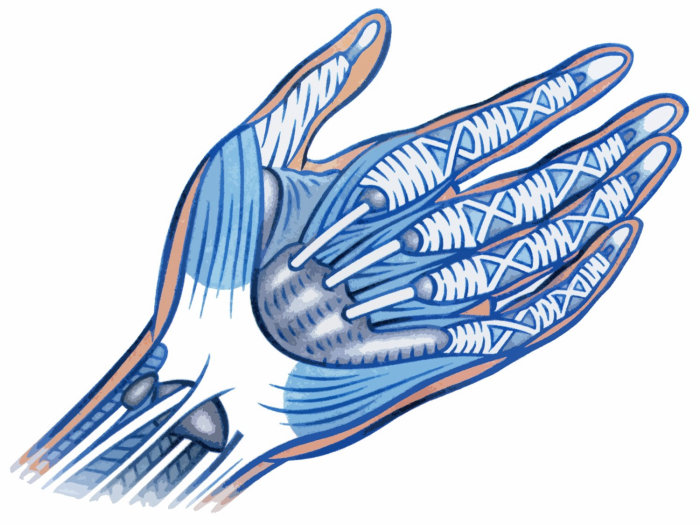 Robotic hand illustration by Klaus Meinhardt