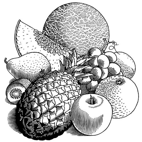 Fruits, Black and white illustration