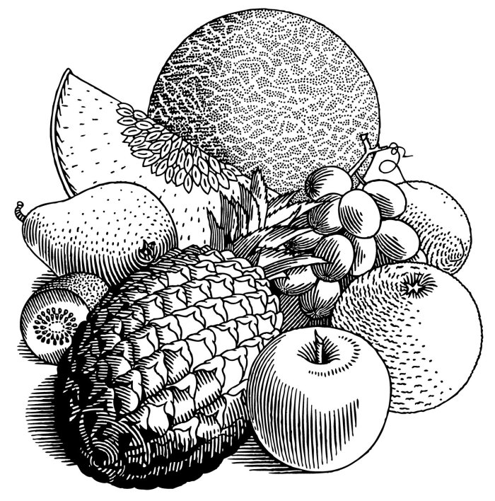 水果，黑白插图
