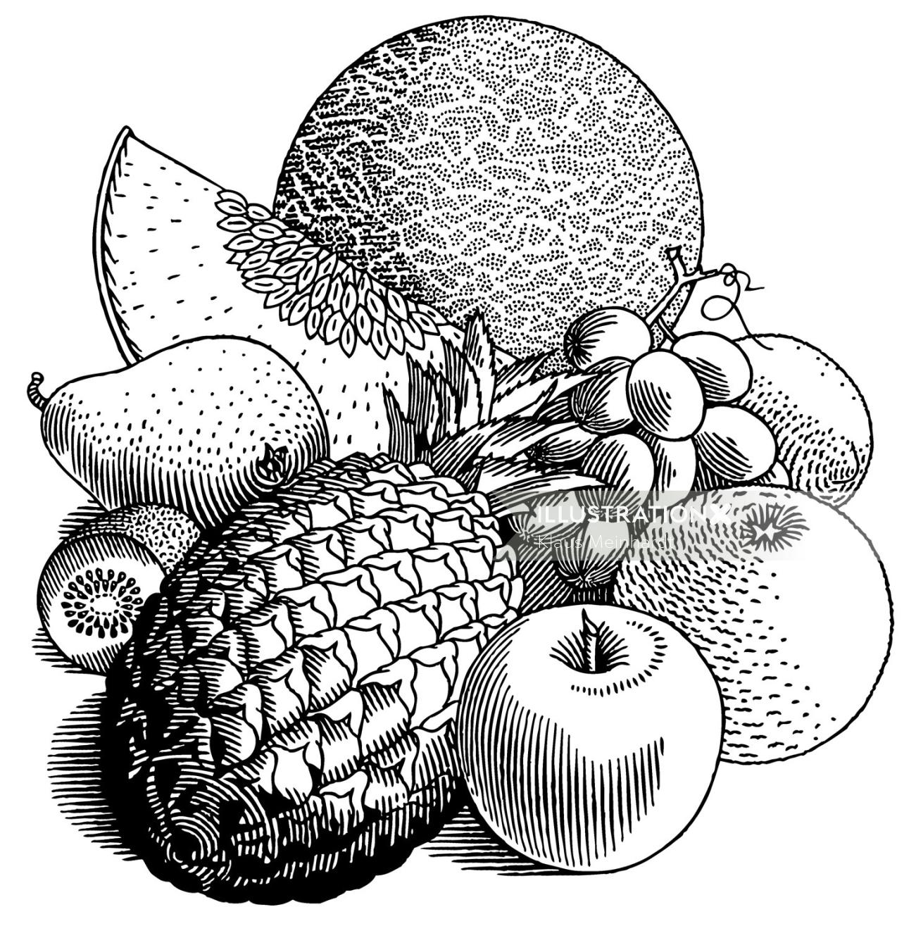 Fruits, illustration noir et blanc