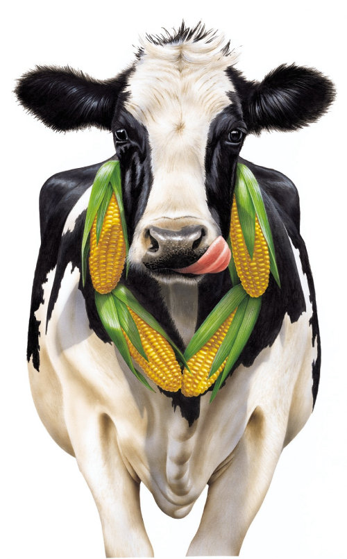3d art of cow with corns
