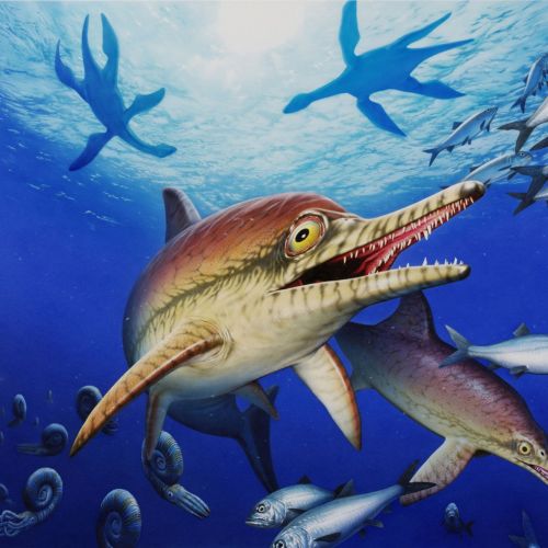 Underwater Jurassic sea life
