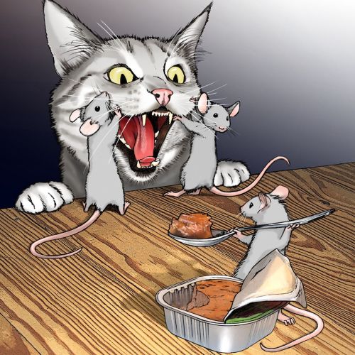 3 mice feeding cat
