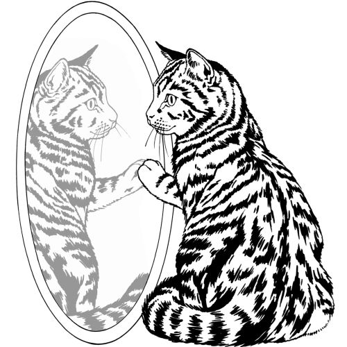Cat seeing in mirror
