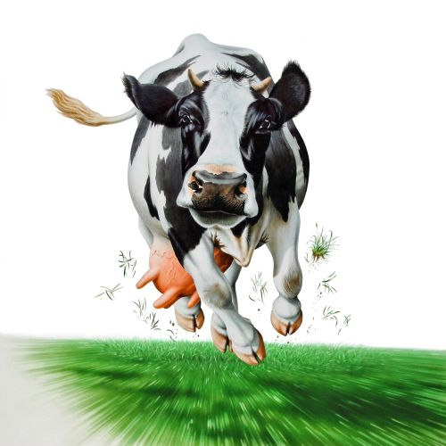 Cow running on high speed
