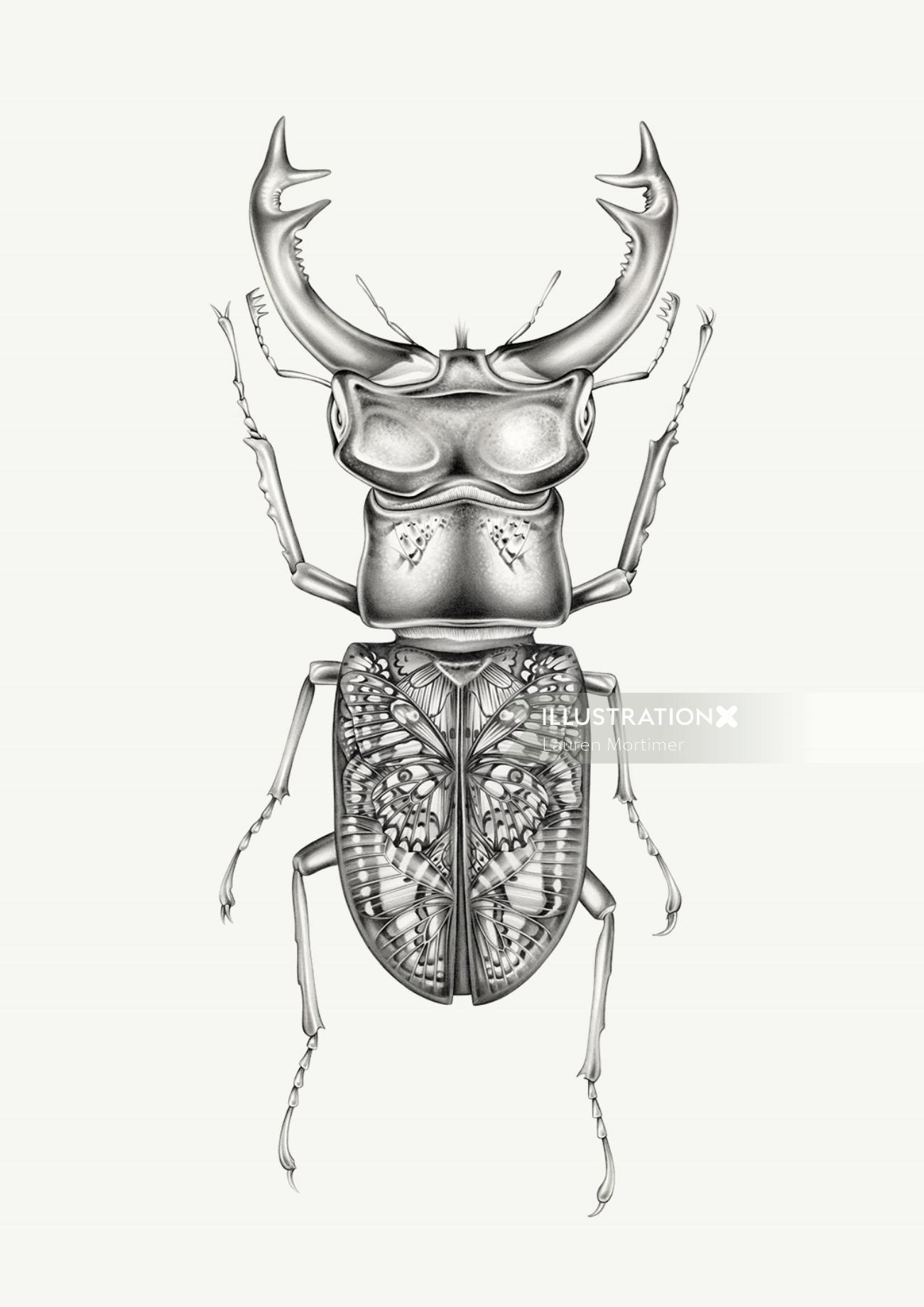Butterfly Beetle - Peinture réaliste
