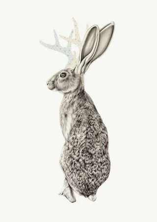 Realist painting  of Jackalope