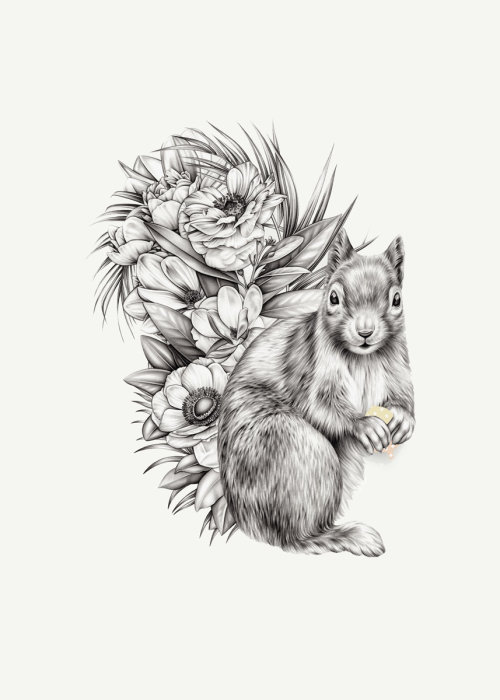 Desenho a lápis de esquilo em flores