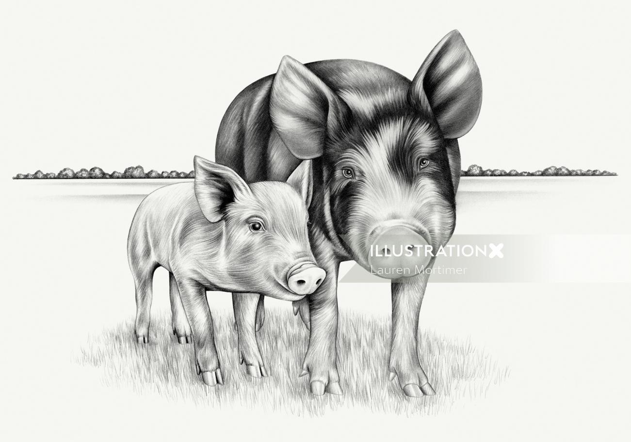 Animal porco com leitão