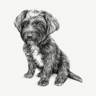 Arte em preto e branco de cachorro animal