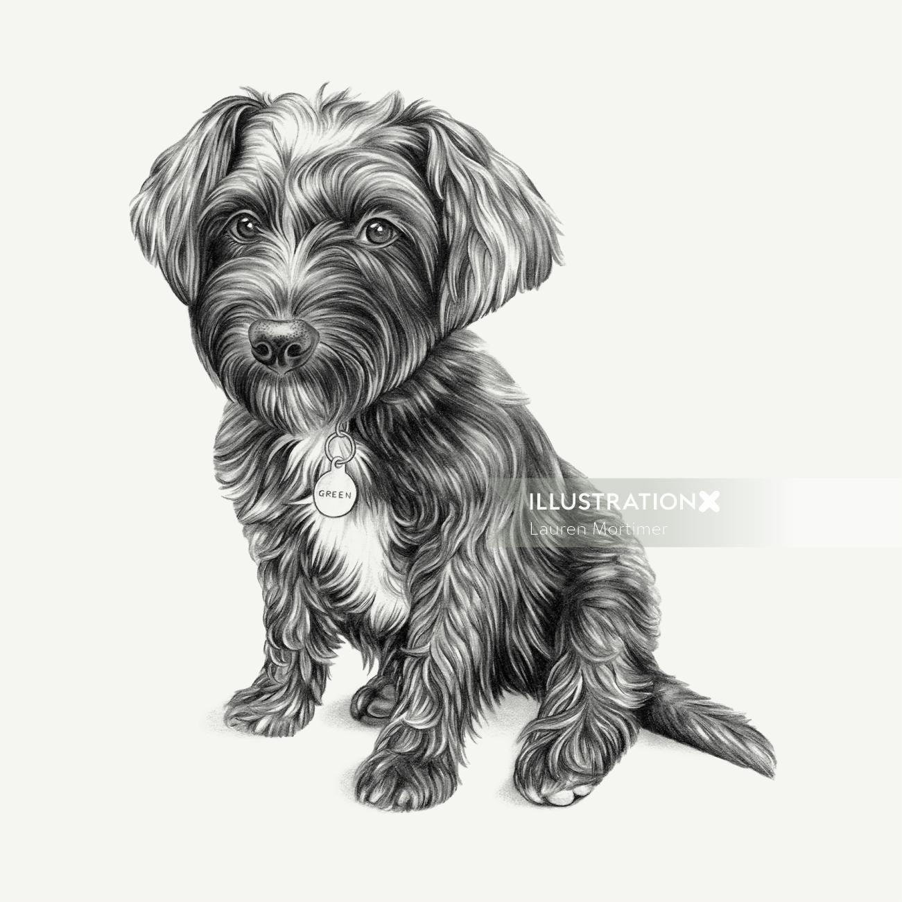 Animal Dog arte em preto e branco