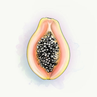 Photorealistic illustration of papaya