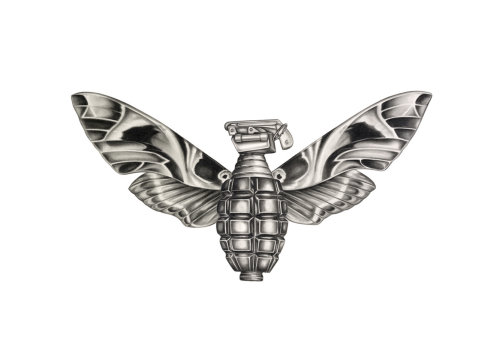 Pencil drawing of Butterfly bullet