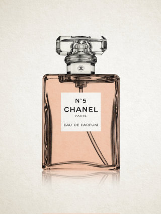 Flacon de parfum Chanel No.5 - Illustration beauté