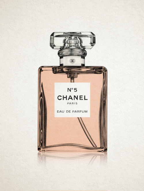 Flacon de parfum Chanel No.5 - Illustration de beauté