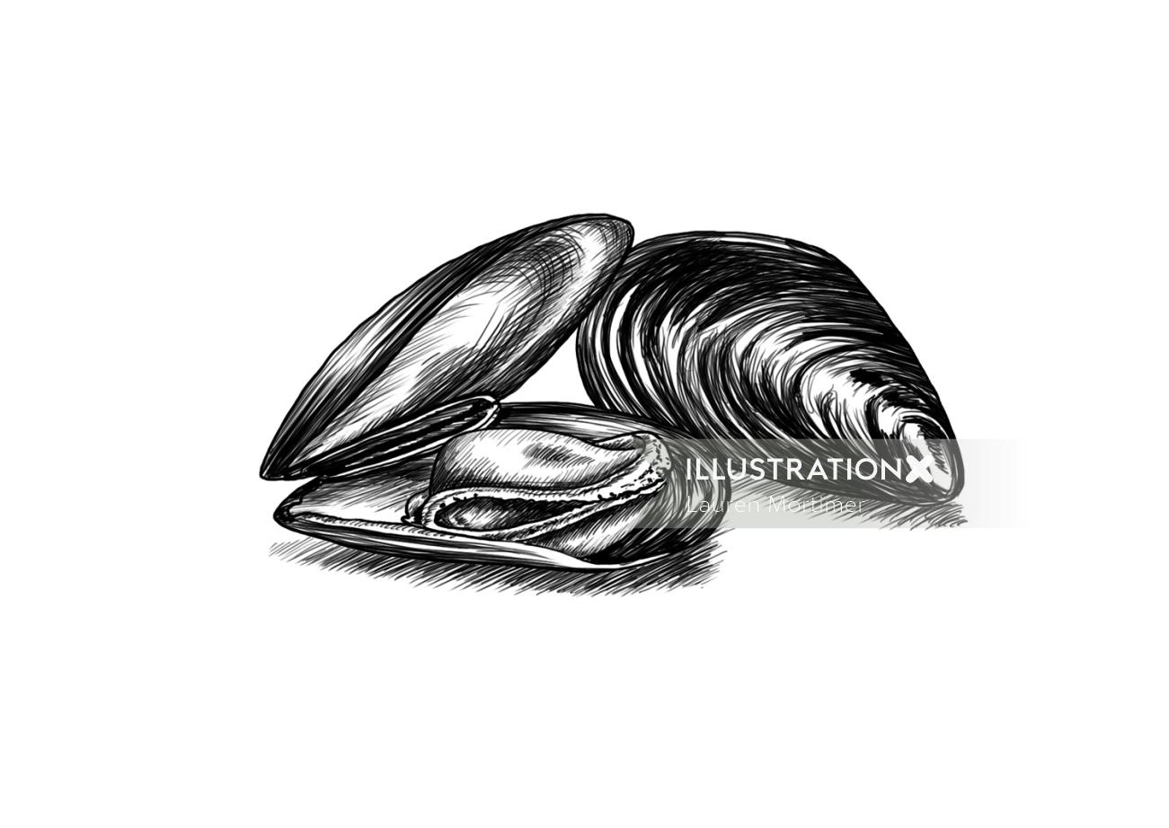 Pencil drawing of Mussels | Food and Drink illustration
