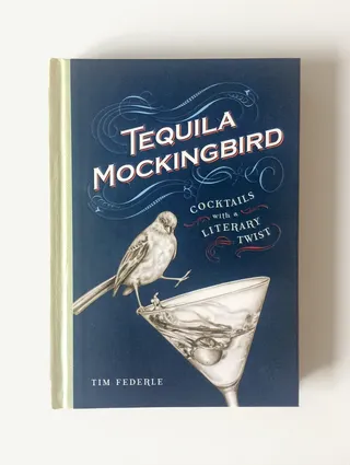 Book Cover Illustration For Tequila Mockingbird