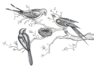 Desenho a lápis de pássaros e da árvore