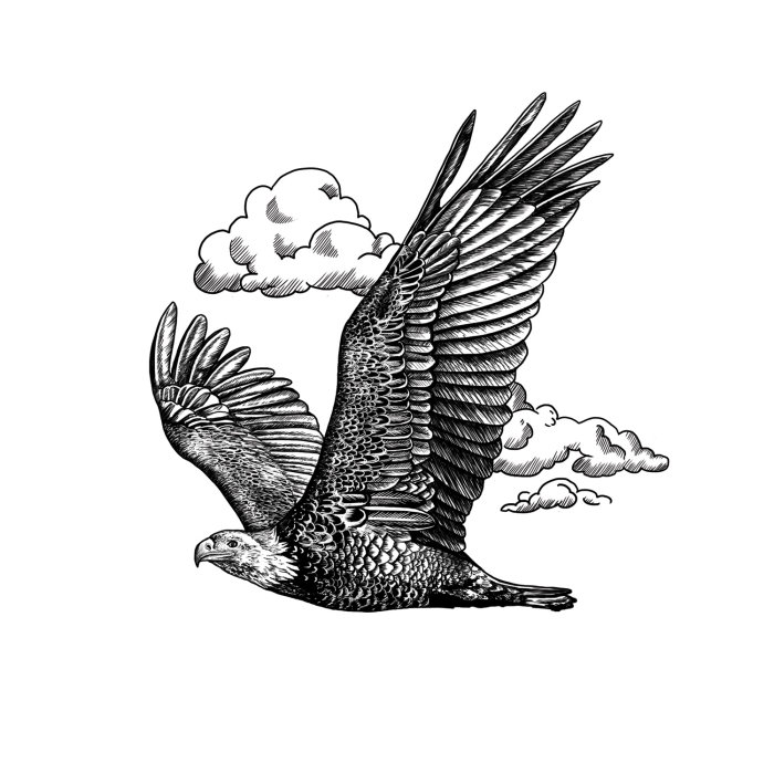 Design preto e branco de uma águia voadora