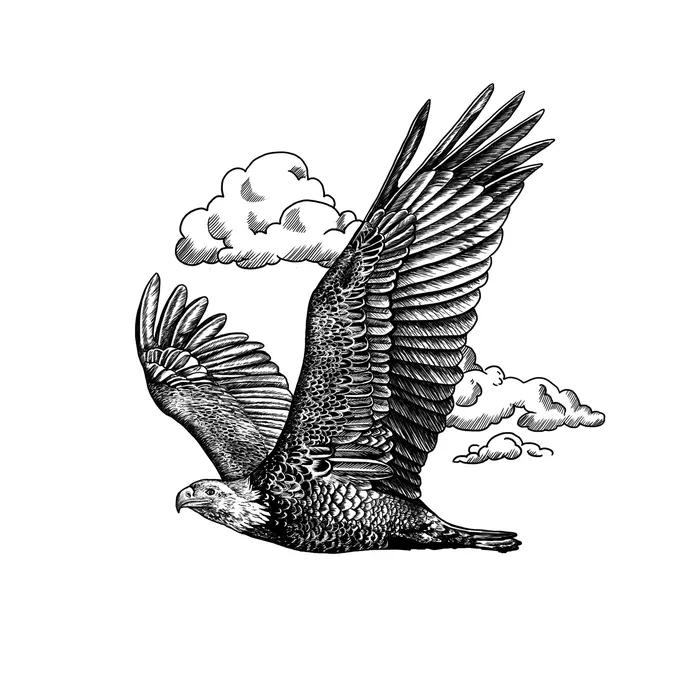 Black and white design of a flying Eagle