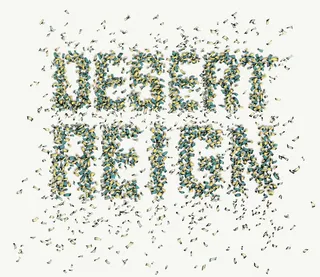 Grains Desert Reign design