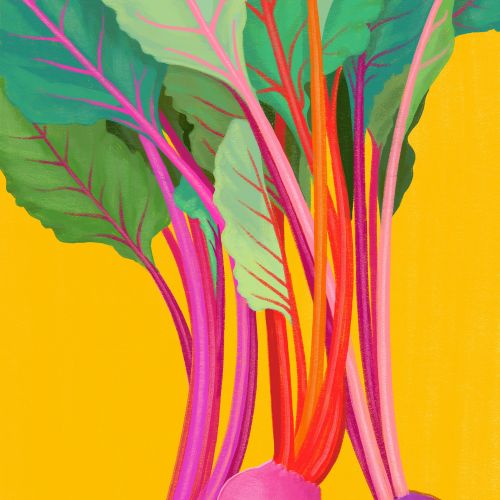Three colorful beets with leaves on bright yellow background
