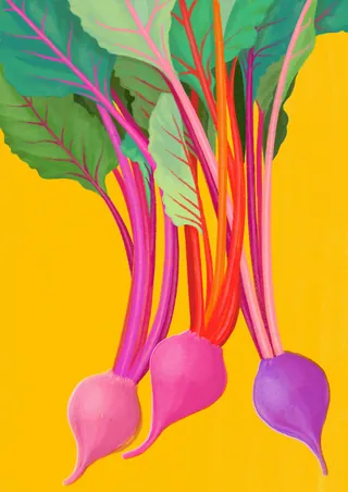 Three colorful beets with leaves on bright yellow background