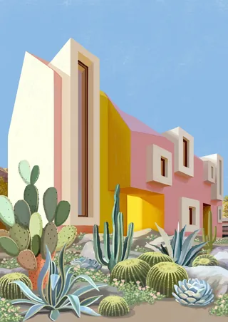 Modern desert house surrounded by various cacti and succulents