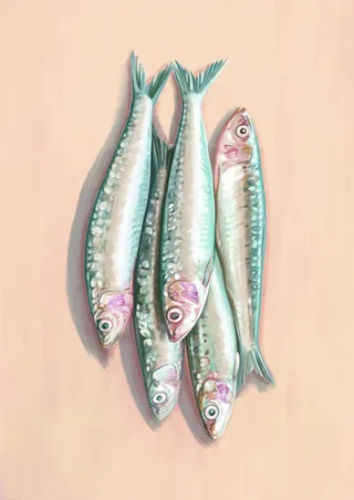 Four fresh mackerel fish laying on a light surface