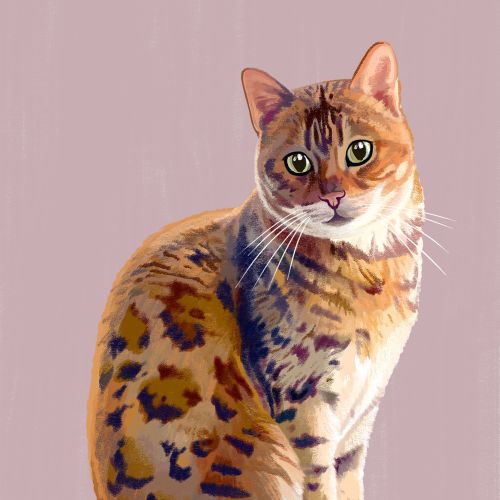 Illustration of a sitting spotted domestic cat with green eyes