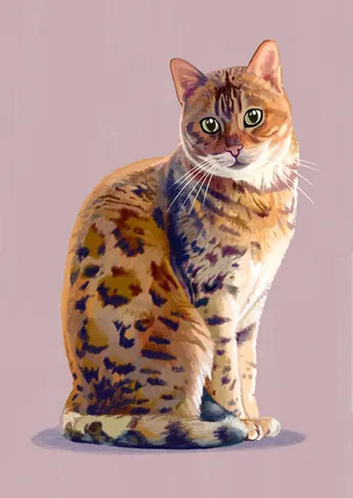 Illustration of a sitting spotted domestic cat with green eyes