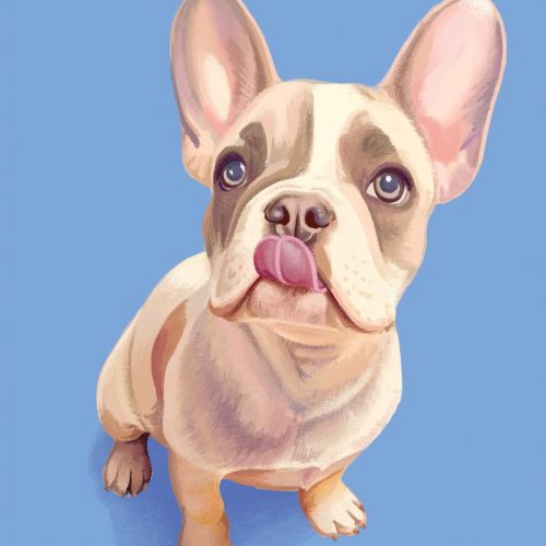 Lauren Mortimer Colours 動物 Illustrator from United Kingdom